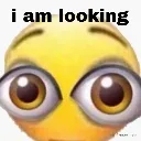 iamlooking
