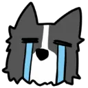 cry