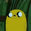 jakeshrug