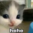 hehe