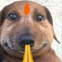 :dogesh: