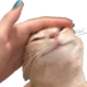 pat