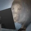 computer