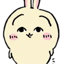 usagieyes