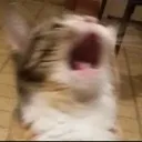 AAAAA
