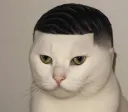 Screenshot20250715181453