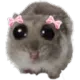hamster