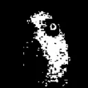 floweytoby