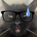 nervous_cat