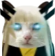 magiknald