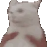catShake catShake