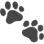 4_pawprints