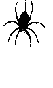 4_spider0