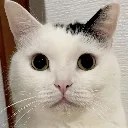 amaro