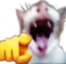 catpointingandlaughing