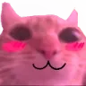 indigo_blushcat