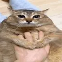 emoji_12