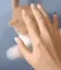 CE_CatFight CE_CatFight