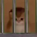 CE_Jail CE_Jail