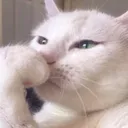 CE_Pondering CE_Pondering