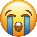 cryy