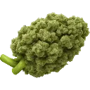 bud2