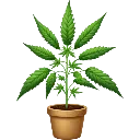 weedpot