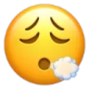 sighExh