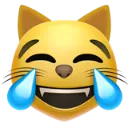 catlmfaoo