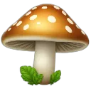 shroom1