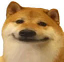 smiledog