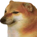 cheems