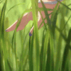 ShorekeeperTouchGrass