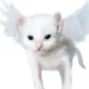 angel