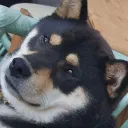 akio_chill