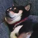 akio_eepy akio_eepy