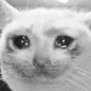 SadCat