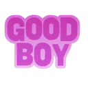 goodboy