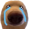 cry