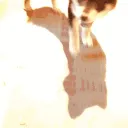 akio_boop akio_boop