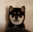 akio_wink akio_wink
