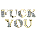 fuckyou_IDS