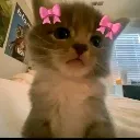 feelbonita feelbonita
