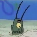 plankton