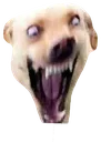 AAAA