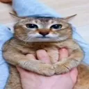 emoji_1