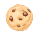 8936cookiewithchocochips