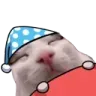 catsleep