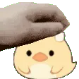 DragoonPat
