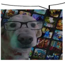 nerdnerddog